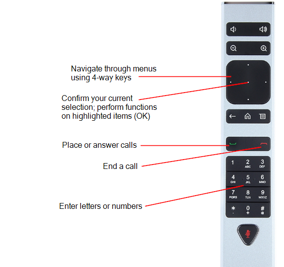 Using Zoom and (Large Conference Room) APIC Technology